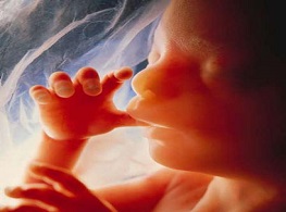 انواع سقط جنین