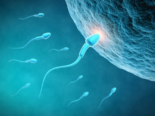 تعداد اسپرم لازم برای بارداری چقدر است؟