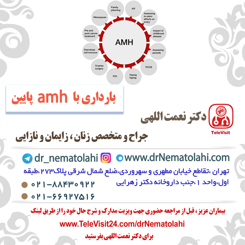  بارداری با amh پایین