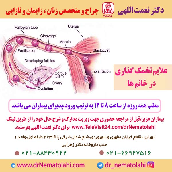 علایم تخمک گذاری در خانم ها