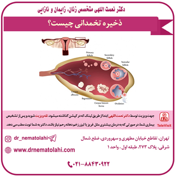 ذخیره تخمدانی چیست؟